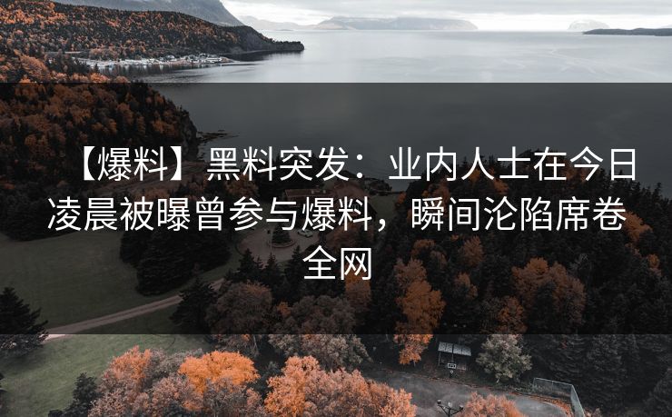 【爆料】黑料突发：业内人士在今日凌晨被曝曾参与爆料，瞬间沦陷席卷全网