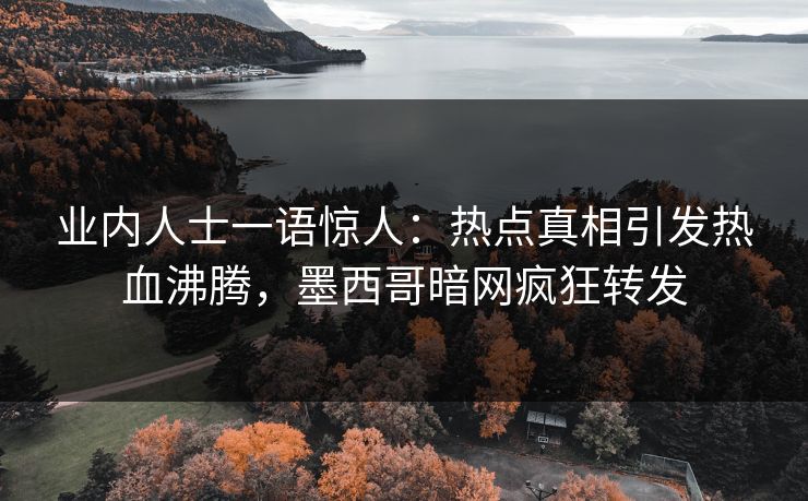 业内人士一语惊人：热点真相引发热血沸腾，墨西哥暗网疯狂转发