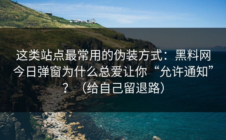 这类站点最常用的伪装方式：黑料网今日弹窗为什么总爱让你“允许通知”？（给自己留退路）