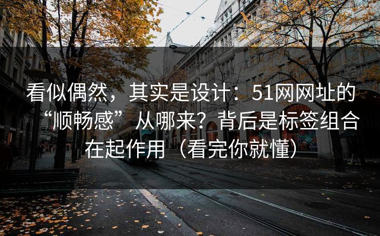 看似偶然，其实是设计：51网网址的“顺畅感”从哪来？背后是标签组合在起作用（看完你就懂）
